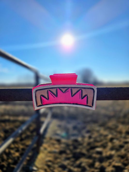 Pink Desert Hair Clip